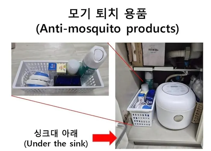 스테이온 Séoul